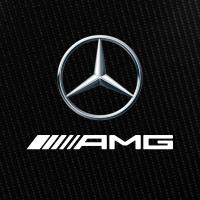 Mercedes-AMG Petronas F1 Team logo image